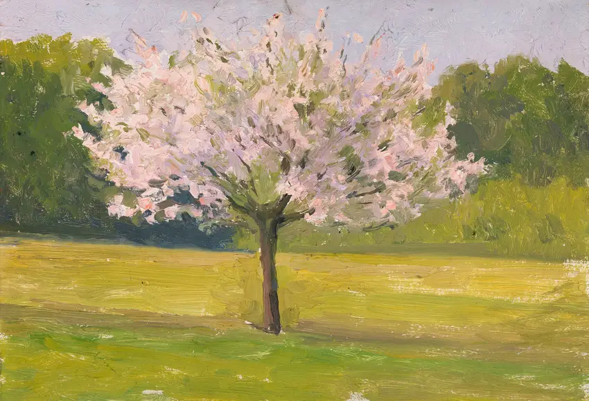 An Apple Tree in Blossom (c.1905-1914) by Eugène Emmanuel Lemercier